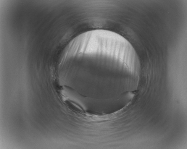 X0000062140031200512301539