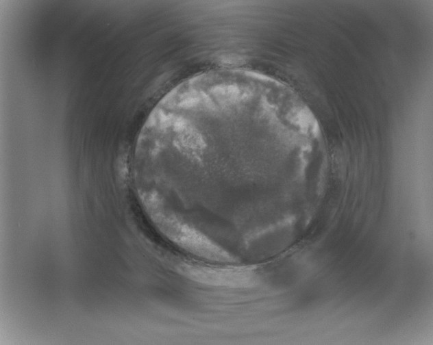 X0000062140032200512301539