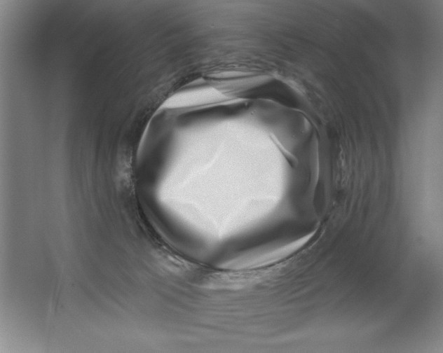 X0000062140033200512301539