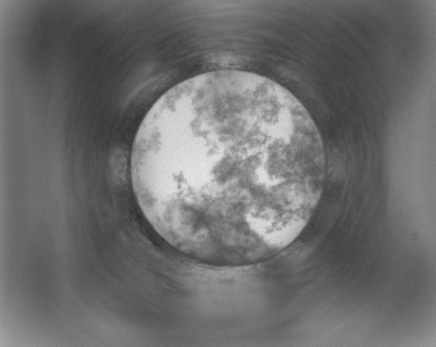 X0000062140036200512301539