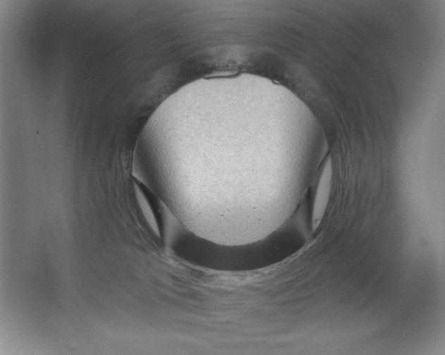 X0000062140037200512301539