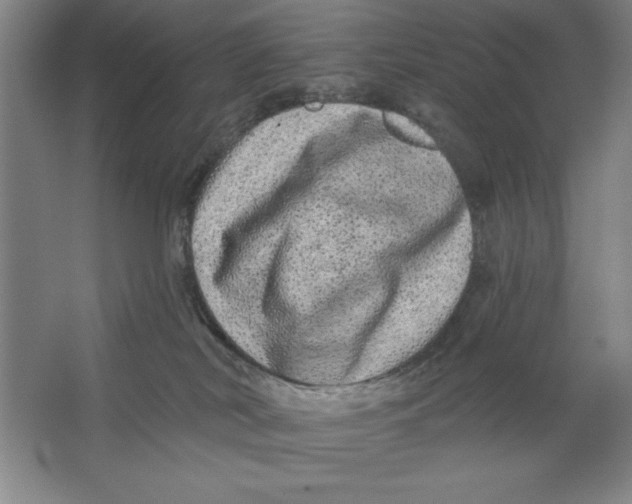 X0000062140038200512301539