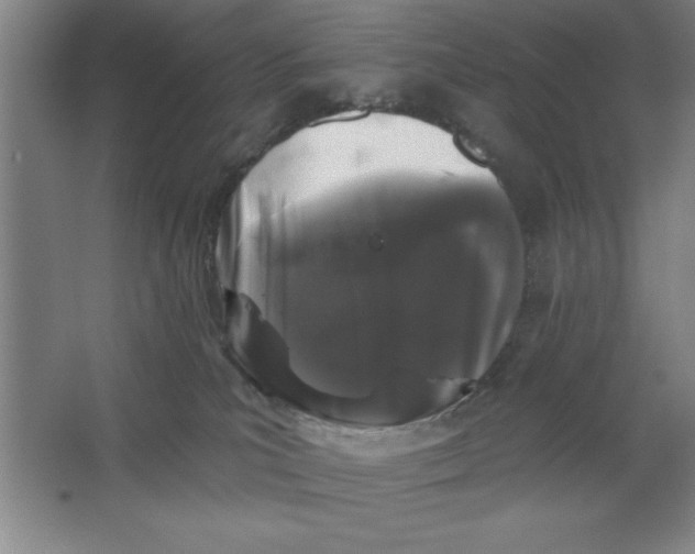 X0000062140039200512301539