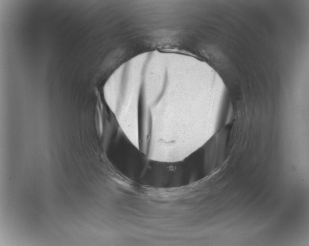 X0000062140041200512301539