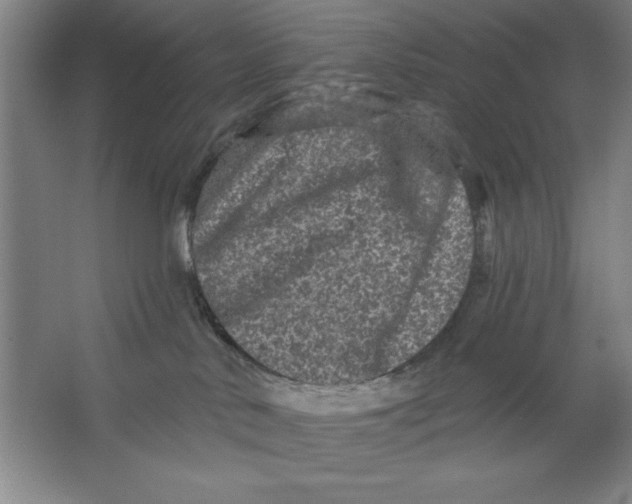 X0000062140042200512301539