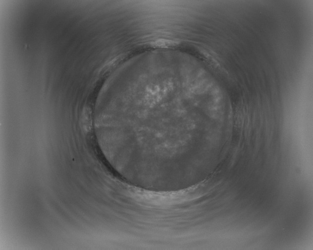 X0000062140043200512301539