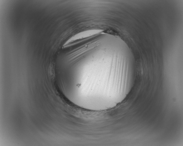 X0000062140044200512301539