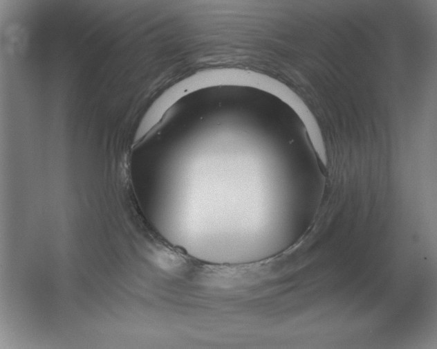 X0000062140045200512301538