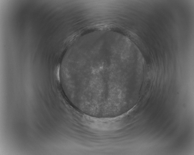 X0000062140047200512301538