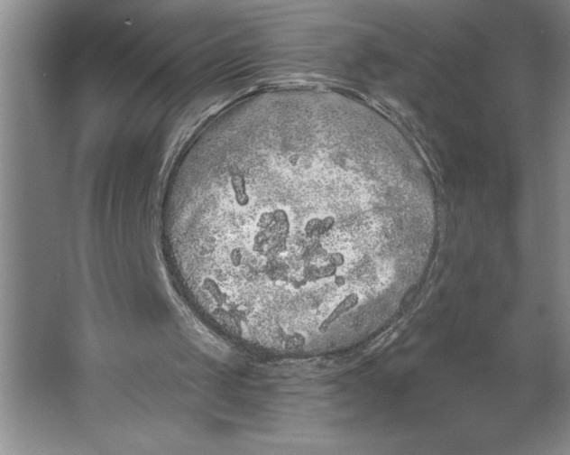 X0000062140049200512301538