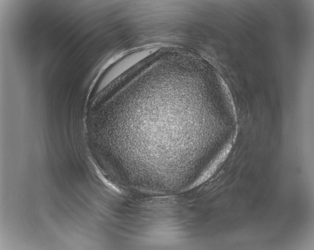 X0000062140050200512301538