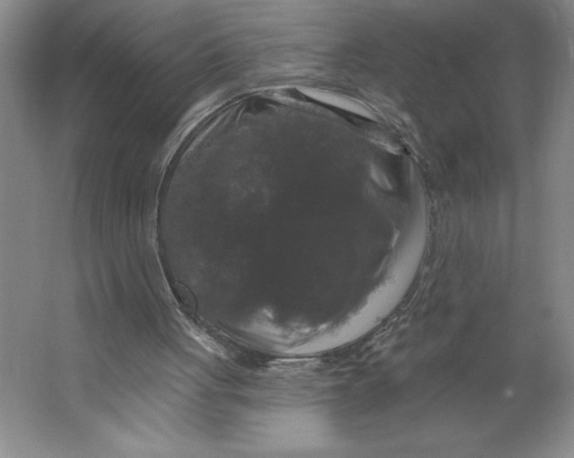 X0000062140051200512301538