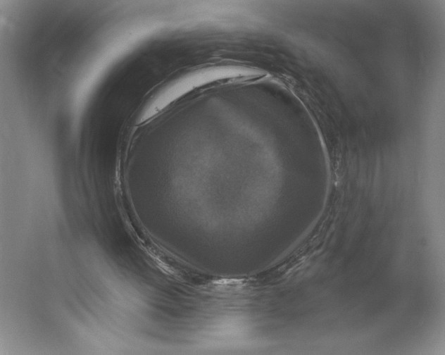 X0000062140052200512301538