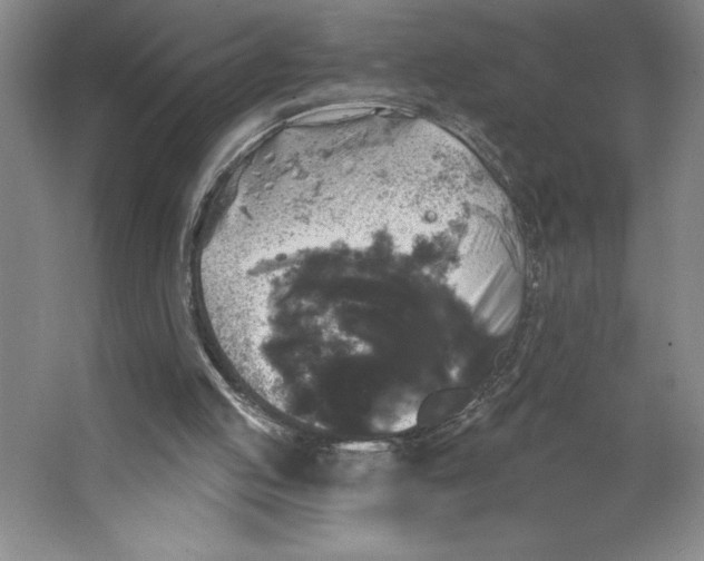 X0000062140053200512301538