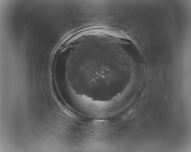 X0000062140055200512301538