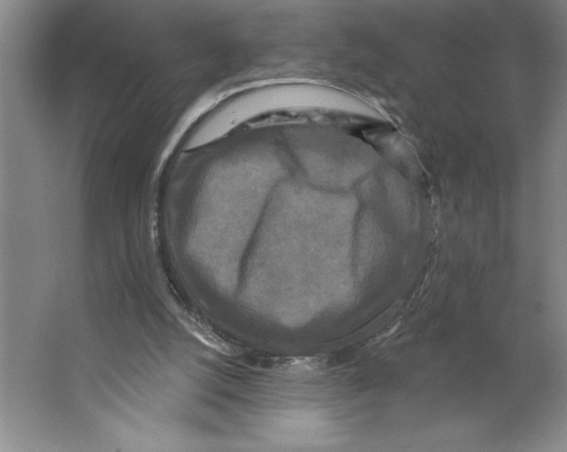 X0000062140056200512301538