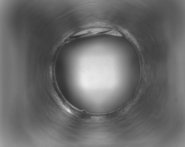 X0000062140057200512301538