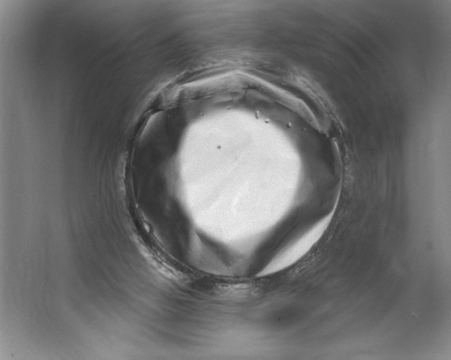 X0000062140058200512301538