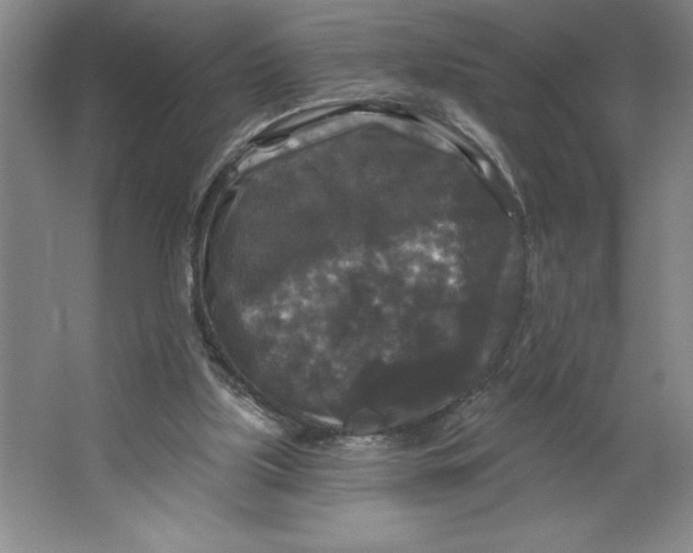 X0000062140059200512301538