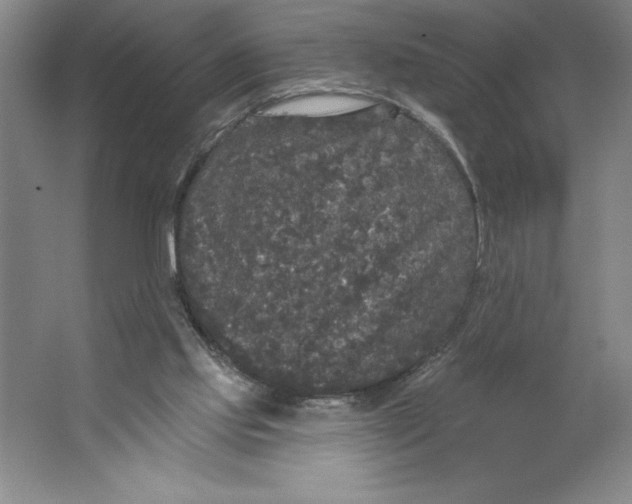 X0000062140061200512301538