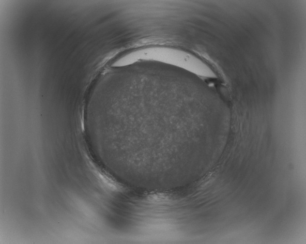 X0000062140062200512301538