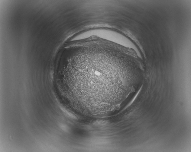 X0000062140063200512301538