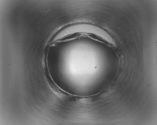 X0000062140064200512301538