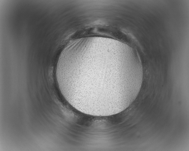 X0000062140066200512301538