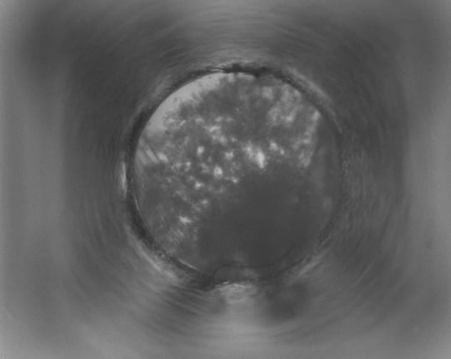 X0000062140067200512301538