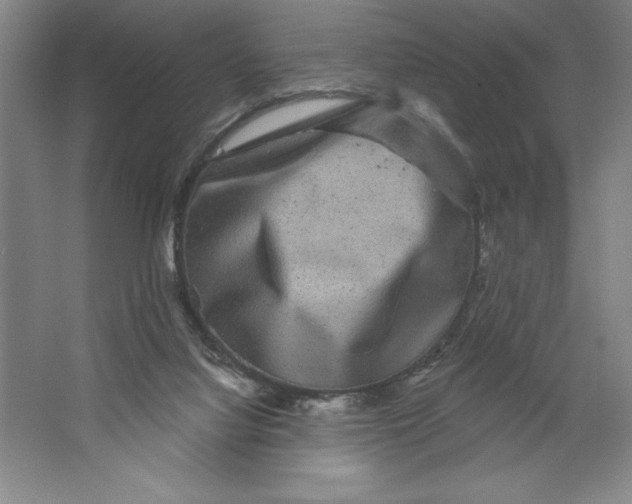 X0000062140068200512301538