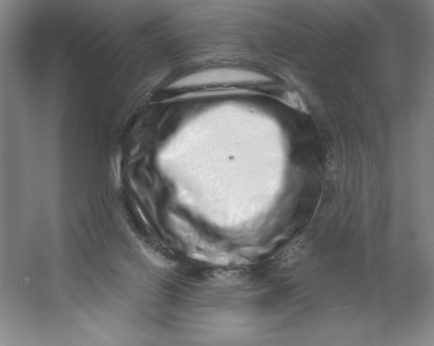 X0000062140070200512301538