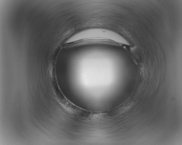 X0000062140072200512301538