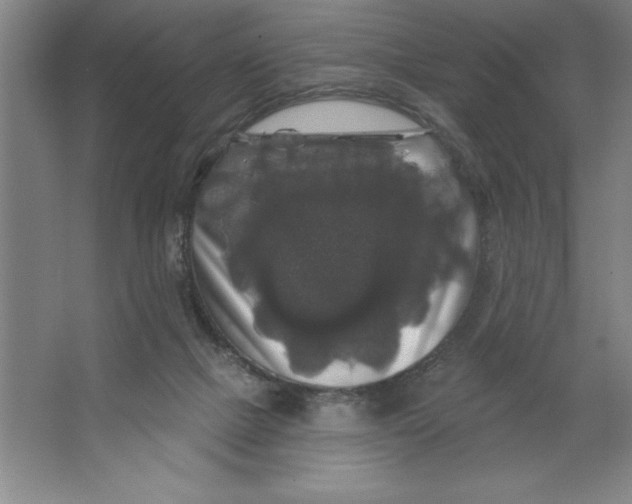 X0000062140073200512301538