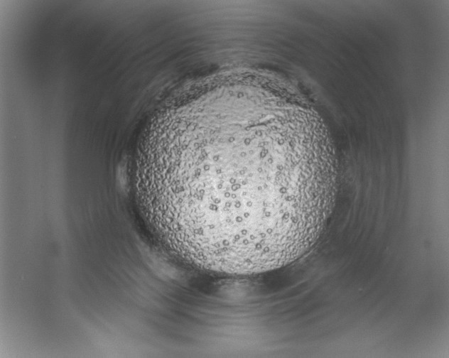 X0000062140074200512301538