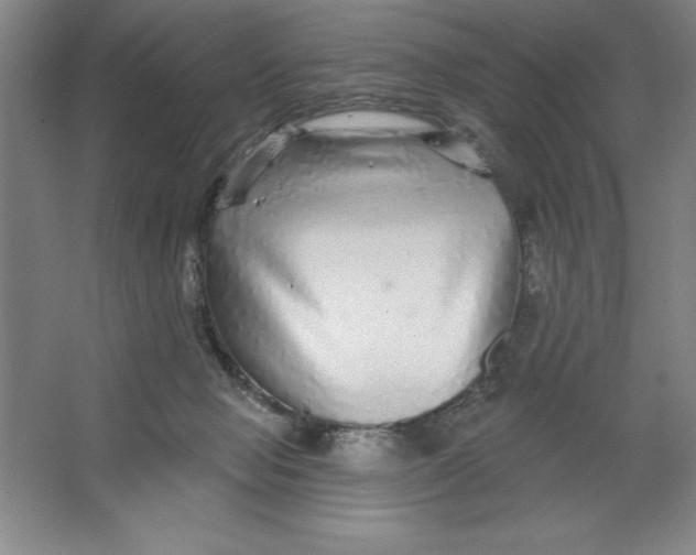 X0000062140077200512301538