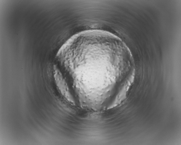 X0000062140078200512301538