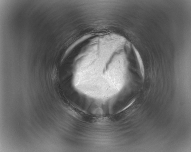 X0000062140081200512301538