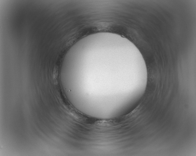 X0000062140082200512301538