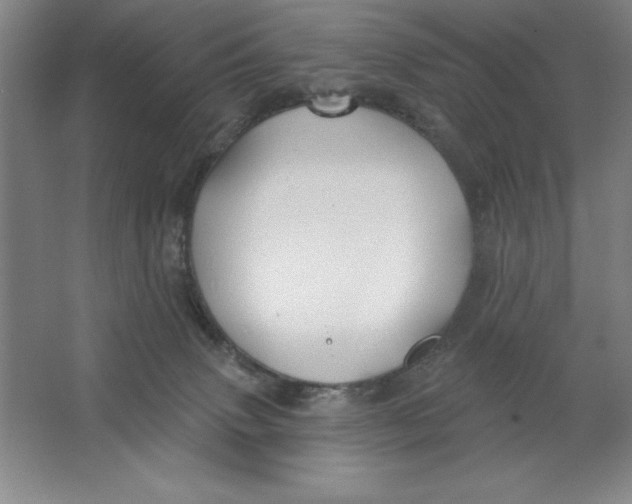 X0000062140083200512301538