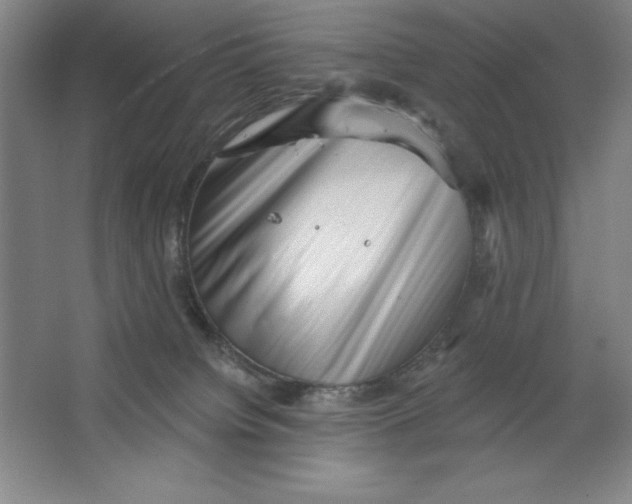 X0000062140084200512301538