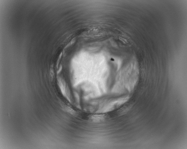 X0000062140085200512301538