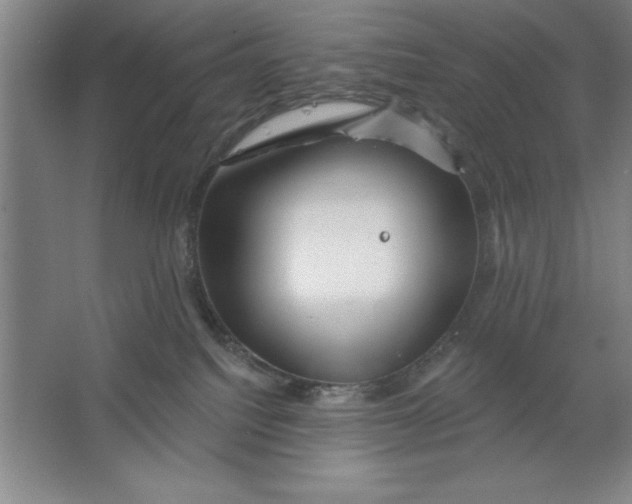 X0000062140088200512301538