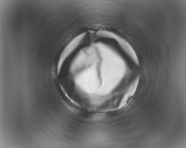 X0000062140090200512301538