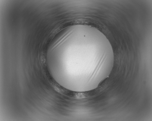 X0000062140091200512301538