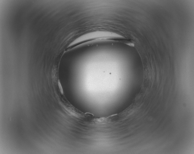 X0000062140092200512301538