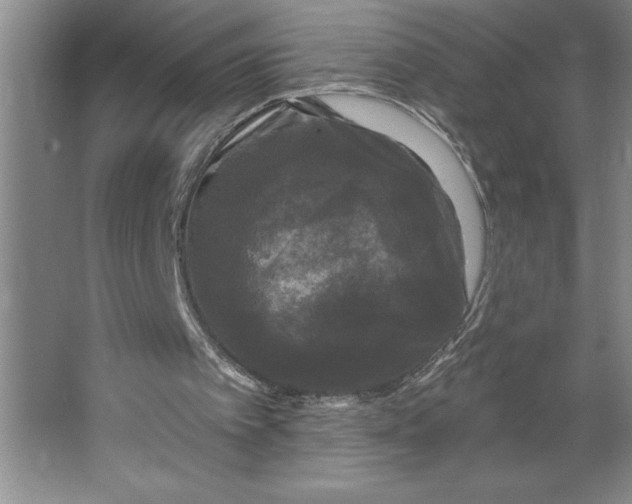 X0000062140097200512301538