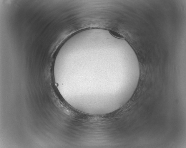 X0000062140098200512301538