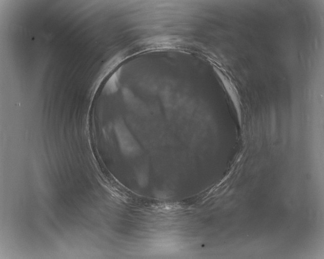 X0000062140099200512301538