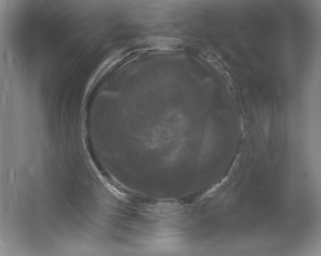 X0000062140101200512301538