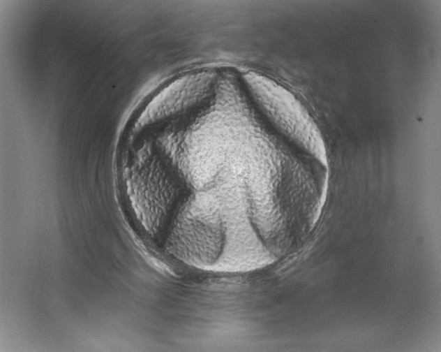 X0000062140102200512301538